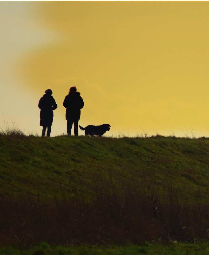 Deux personnes et un chien en silhouette devant un ciel doré