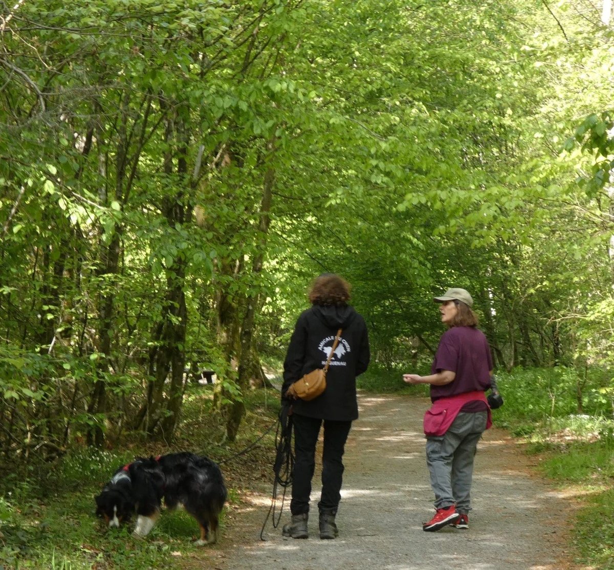 Deux personnes et un chien en balade sur un chemin forestier